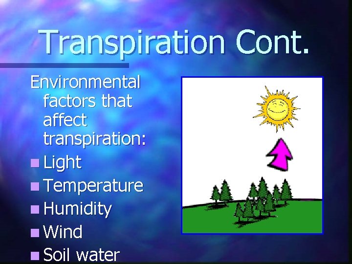 Transpiration Cont. Environmental factors that affect transpiration: n Light n Temperature n Humidity n