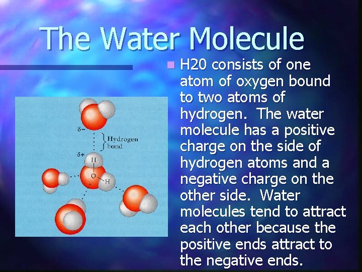 The Water Molecule n H 20 consists of one atom of oxygen bound to