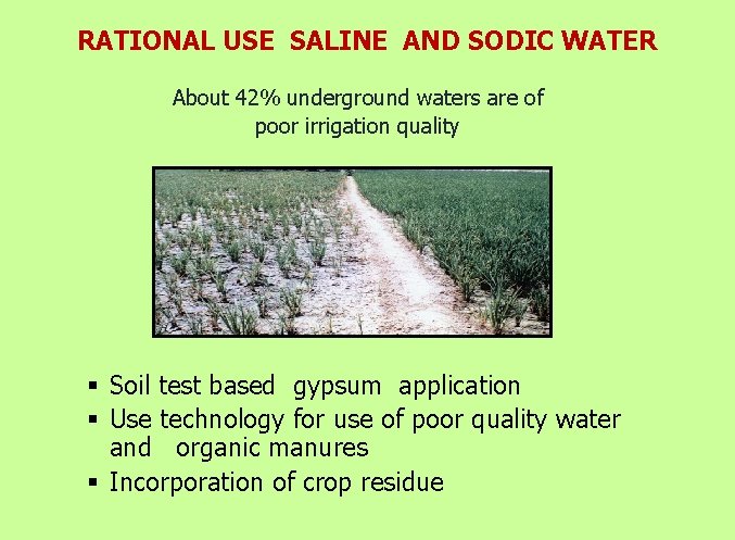 RATIONAL USE SALINE AND SODIC WATER About 42% underground waters are of poor irrigation