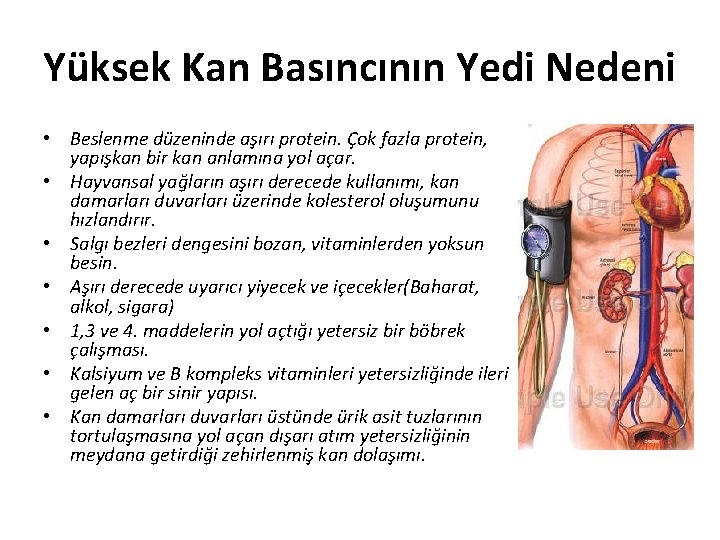 Yüksek Kan Basıncının Yedi Nedeni • Beslenme düzeninde aşırı protein. Çok fazla protein, yapışkan