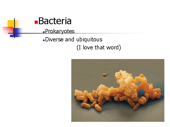 n Bacteria Prokaryotes n. Diverse and ubiquitous (I love that word) n 