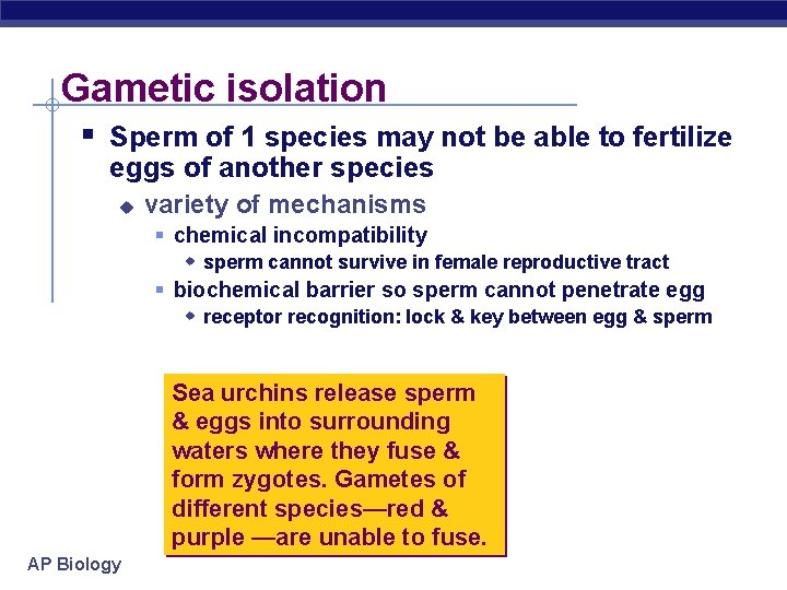 Gametic isolation § Sperm of 1 species may not be able to fertilize eggs