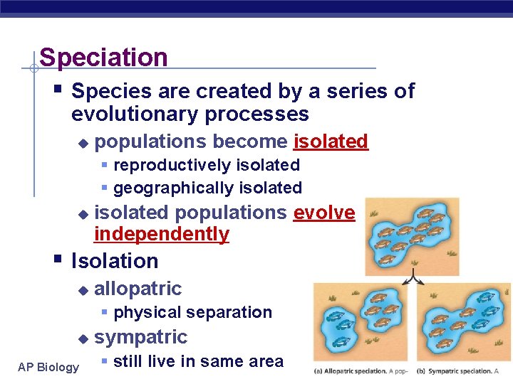Speciation § Species are created by a series of evolutionary processes u populations become