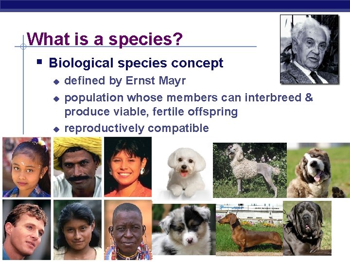 What is a species? § Biological species concept u u u AP Biology defined