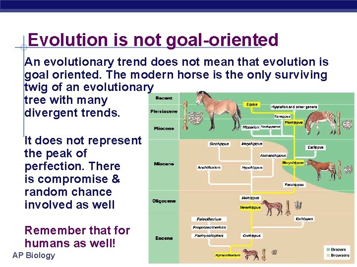 Evolution is not goal-oriented An evolutionary trend does not mean that evolution is goal