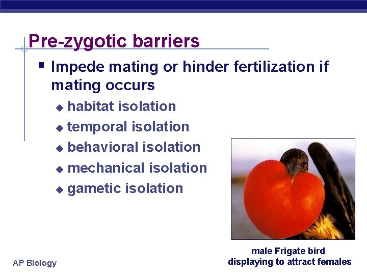 Pre-zygotic barriers § Impede mating or hinder fertilization if mating occurs habitat isolation u