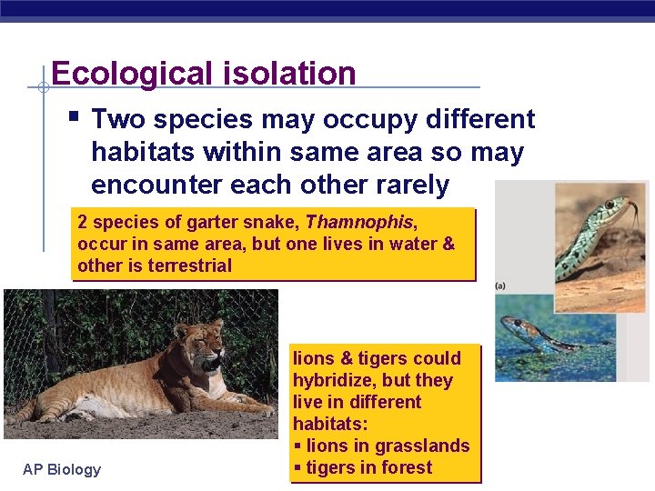 Ecological isolation § Two species may occupy different habitats within same area so may