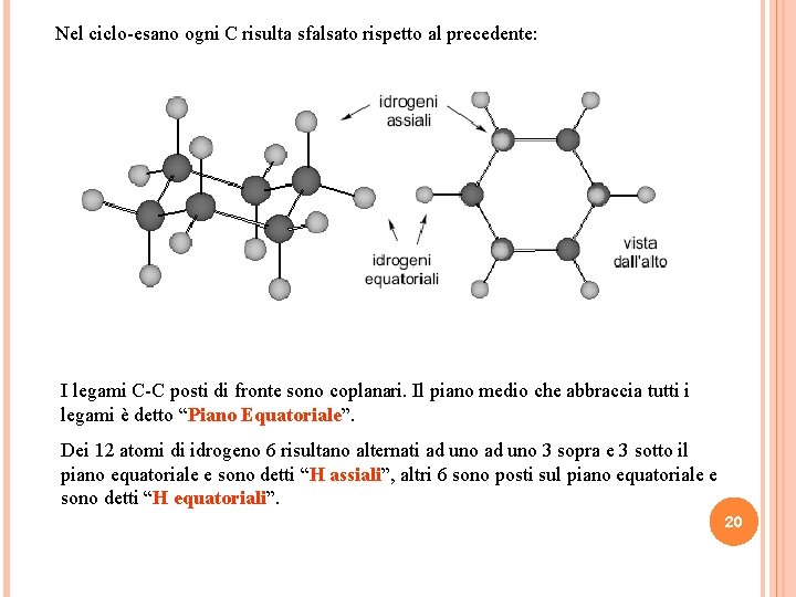 Nel ciclo-esano ogni C risulta sfalsato rispetto al precedente: I legami C-C posti di