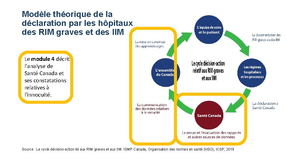 Modèle théorique de la déclaration par les hôpitaux des RIM graves et des IIM