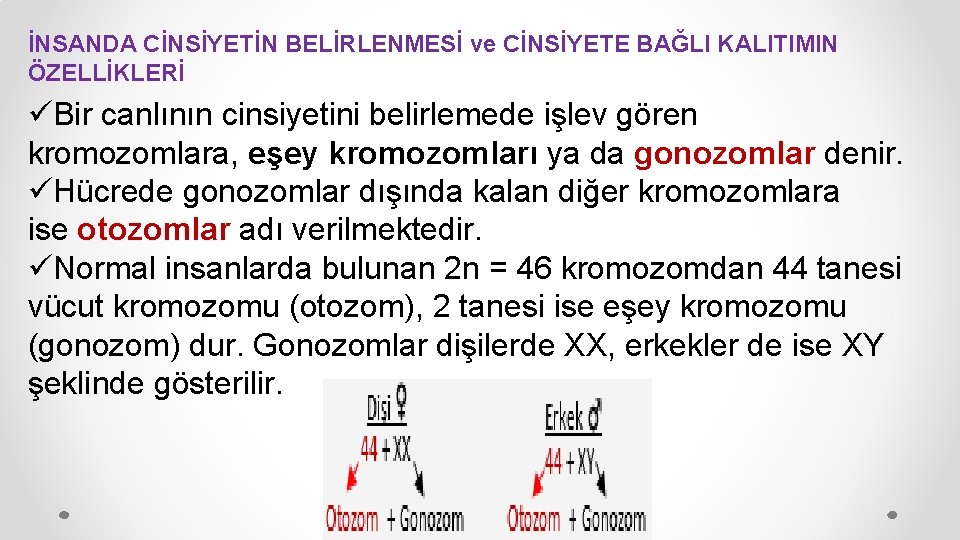 İNSANDA CİNSİYETİN BELİRLENMESİ ve CİNSİYETE BAĞLI KALITIMIN ÖZELLİKLERİ üBir canlının cinsiyetini belirlemede işlev gören