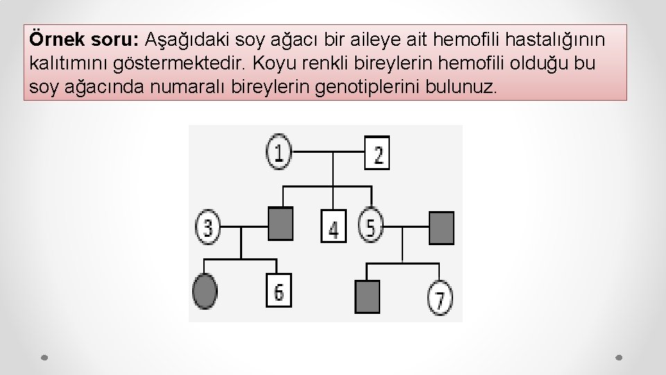 Örnek soru: Aşağıdaki soy ağacı bir aileye ait hemofili hastalığının kalıtımını göstermektedir. Koyu renkli