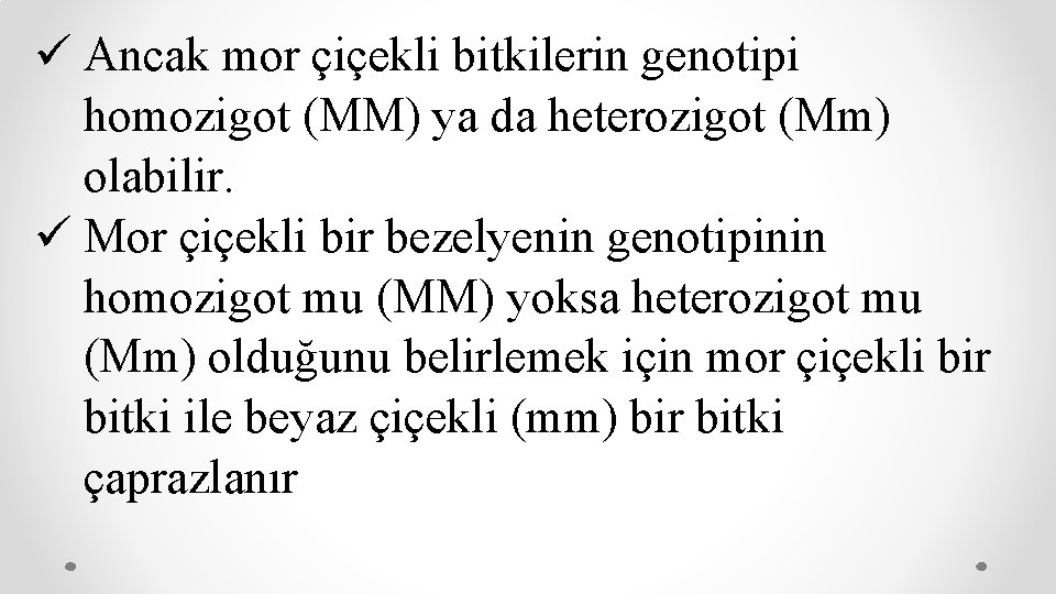 ü Ancak mor çiçekli bitkilerin genotipi homozigot (MM) ya da heterozigot (Mm) olabilir. ü