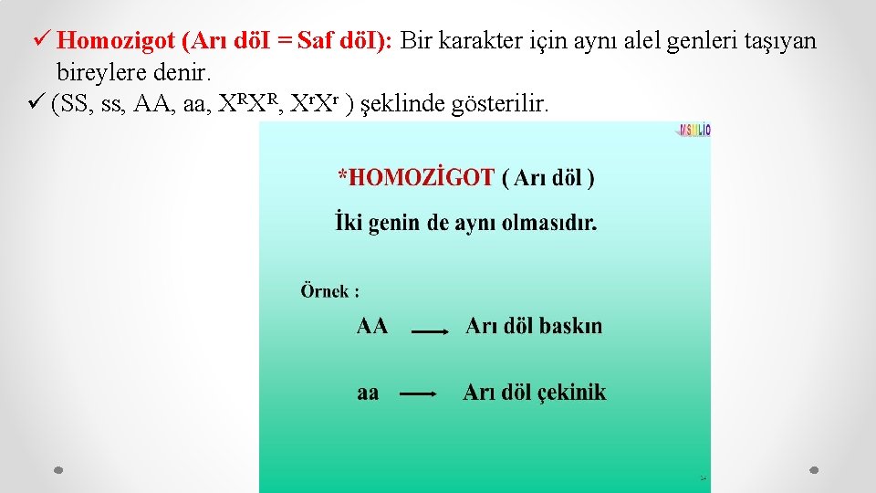 ü Homozigot (Arı döI = Saf döI): Bir karakter için aynı alel genleri taşıyan