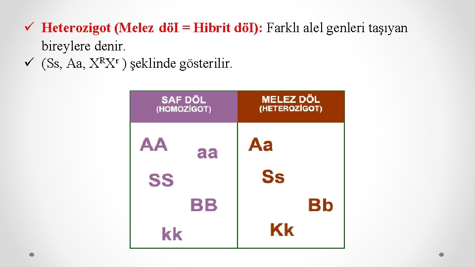 ü Heterozigot (Melez döI = Hibrit döI): Farklı alel genleri taşıyan bireylere denir. ü