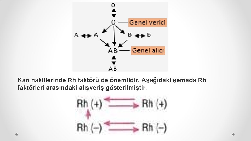 Kan nakillerinde Rh faktörü de önemlidir. Aşağıdaki şemada Rh faktörleri arasındaki alışveriş gösterilmiştir. 