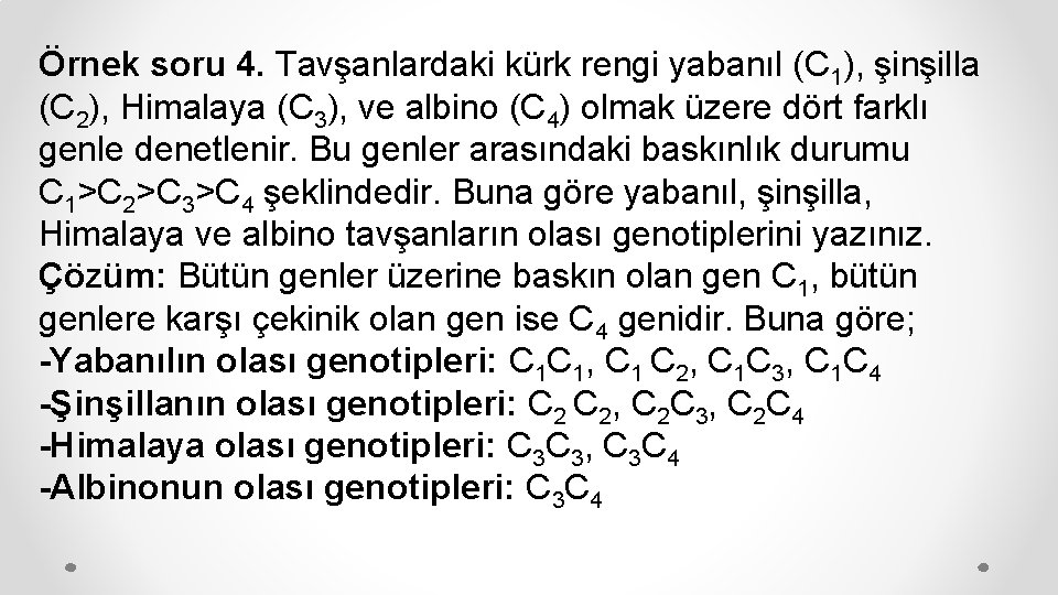 Örnek soru 4. Tavşanlardaki kürk rengi yabanıl (C 1), şinşilla (C 2), Himalaya (C