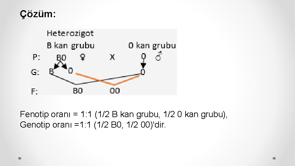 Çözüm: Fenotip oranı = 1: 1 (1/2 B kan grubu, 1/2 0 kan grubu),