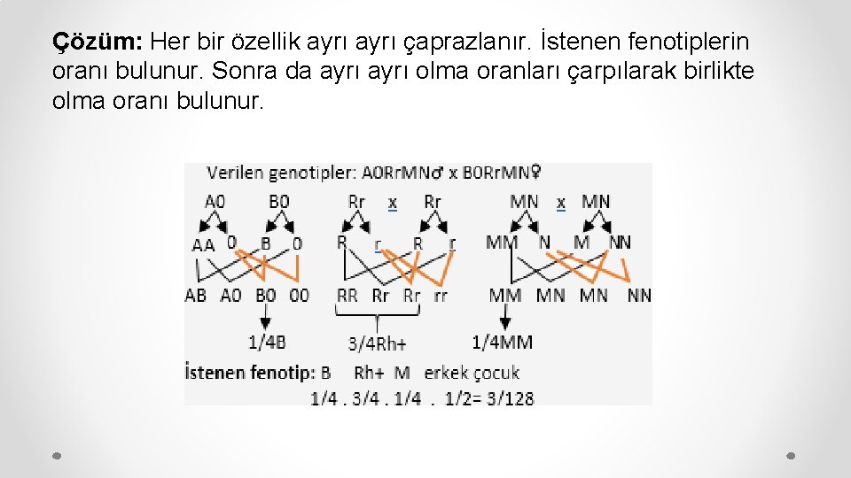 Çözüm: Her bir özellik ayrı çaprazlanır. İstenen fenotiplerin oranı bulunur. Sonra da ayrı olma