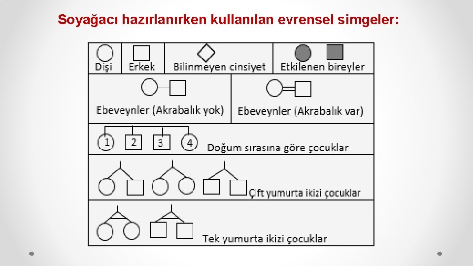 Soyağacı hazırlanırken kullanılan evrensel simgeler: 