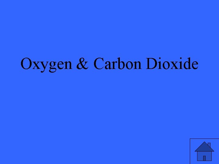 Oxygen & Carbon Dioxide 