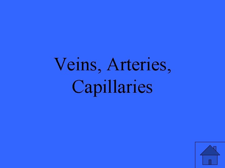 Veins, Arteries, Capillaries 