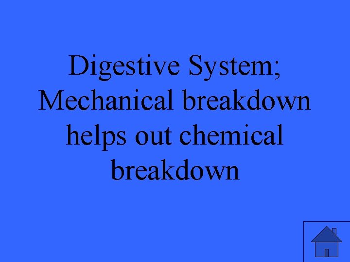 Digestive System; Mechanical breakdown helps out chemical breakdown 