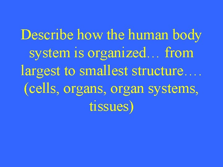 Describe how the human body system is organized… from largest to smallest structure…. (cells,