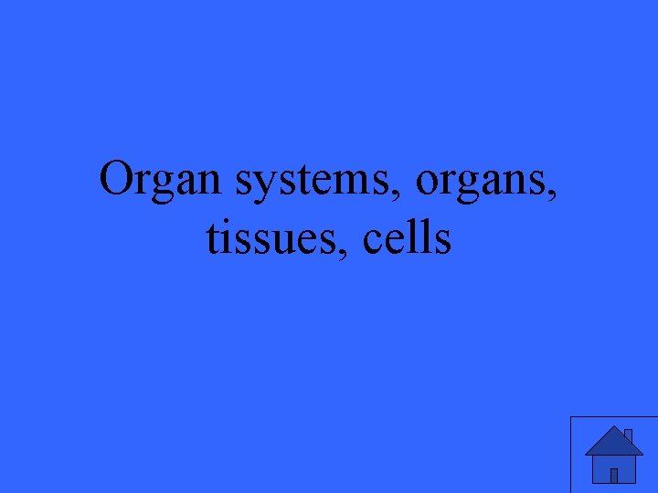 Organ systems, organs, tissues, cells 