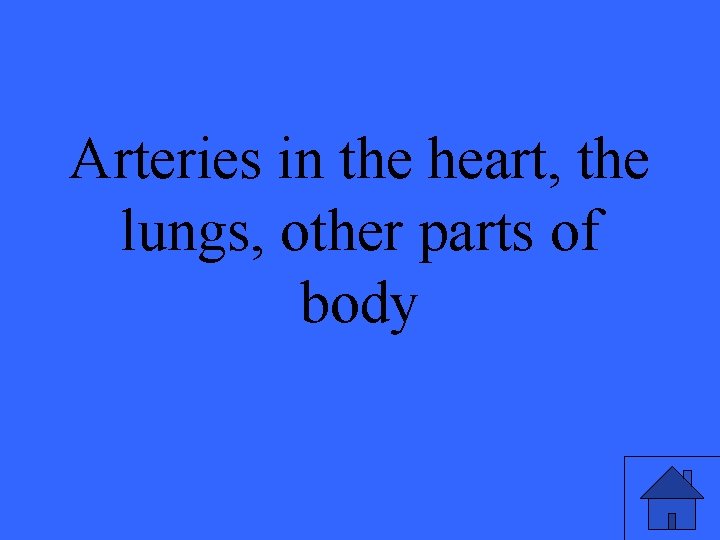 Arteries in the heart, the lungs, other parts of body 