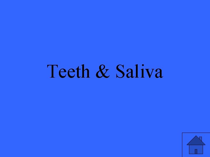 Teeth & Saliva 