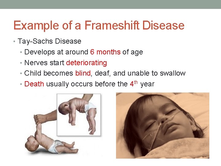 Example of a Frameshift Disease • Tay-Sachs Disease • Develops at around 6 months