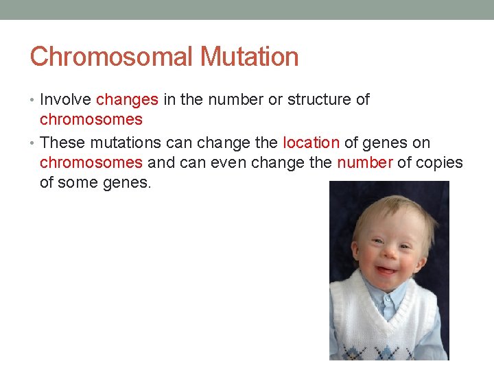 Chromosomal Mutation • Involve changes in the number or structure of chromosomes • These