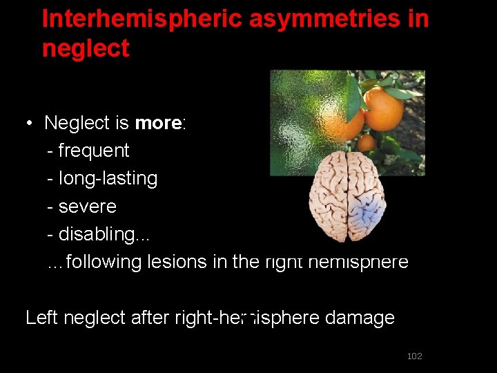 Interhemispheric asymmetries in neglect • Neglect is more: - frequent - long-lasting - severe