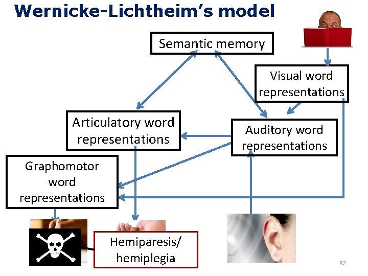 Wernicke-Lichtheim’s model Semantic memory Visual word representations Articulatory word representations Auditory word representations Graphomotor