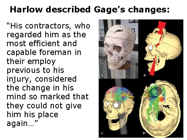 Harlow described Gage’s changes: “His contractors, who regarded him as the most efficient and