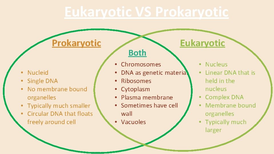 Eukaryotic VS Prokaryotic • Nucleid • Single DNA • No membrane bound organelles •