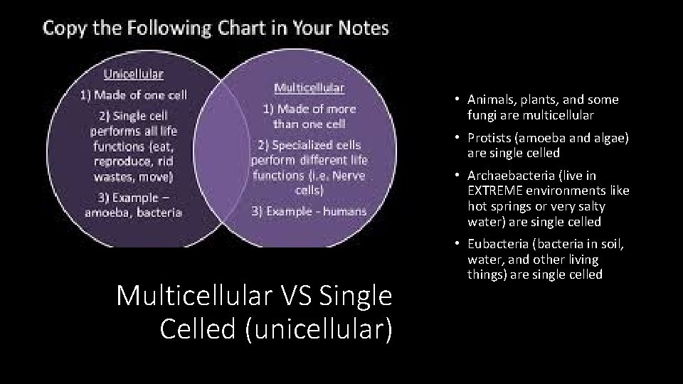  • Animals, plants, and some fungi are multicellular • Protists (amoeba and algae)