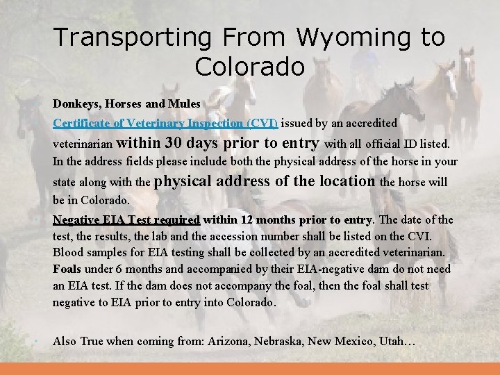 Horse Transport in the RMDS Region By Didi