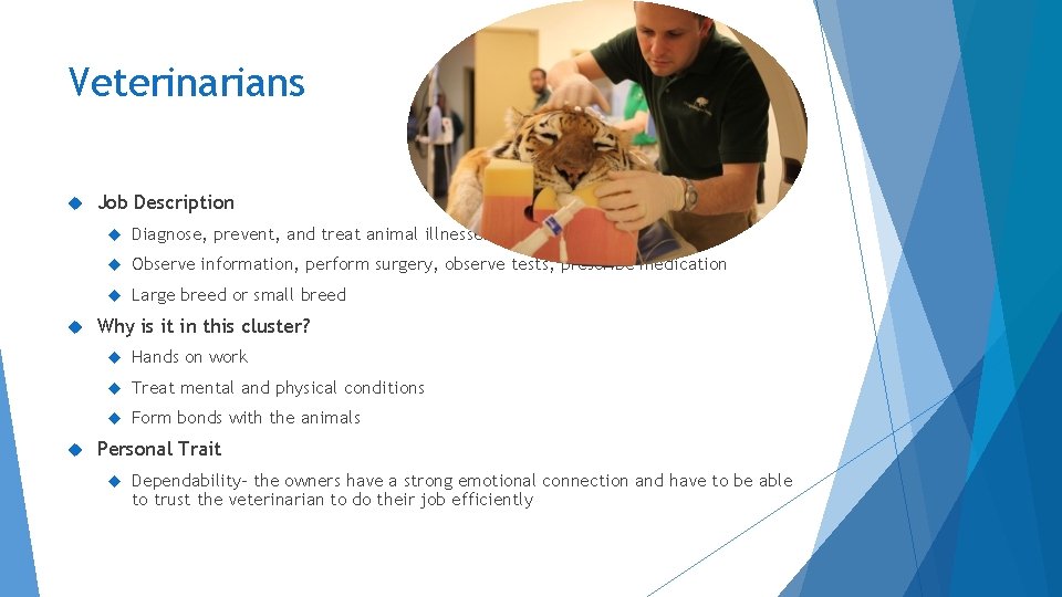 Veterinarians Job Description Diagnose, prevent, and treat animal illnesses Observe information, perform surgery, observe