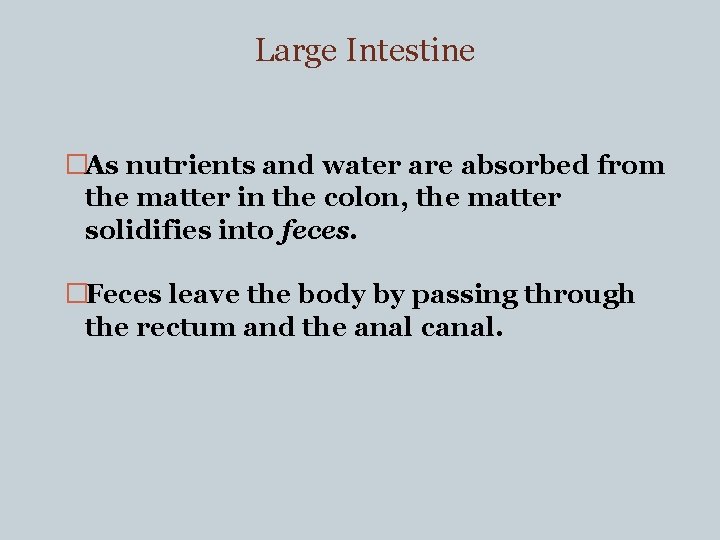 Large Intestine �As nutrients and water are absorbed from the matter in the colon,
