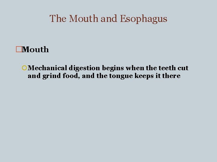 The Mouth and Esophagus �Mouth Mechanical digestion begins when the teeth cut and grind