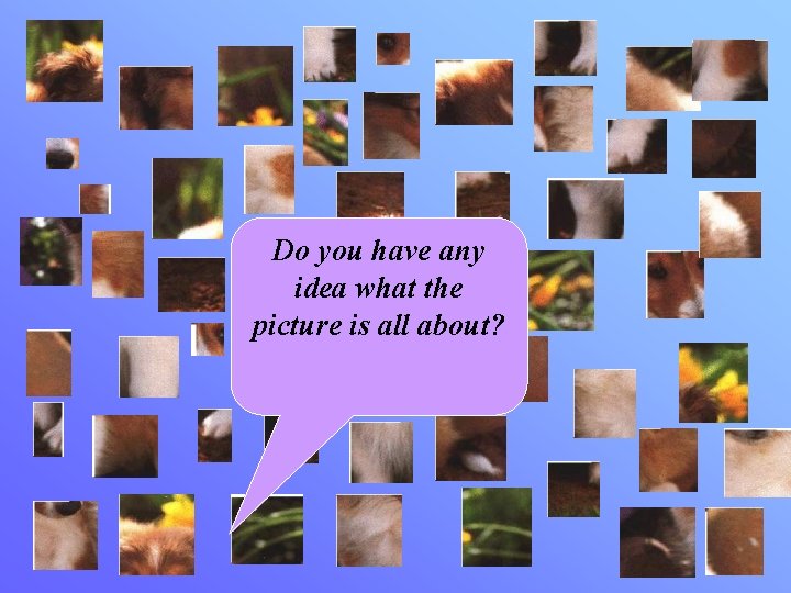 Do you have any idea what the picture is all about? 