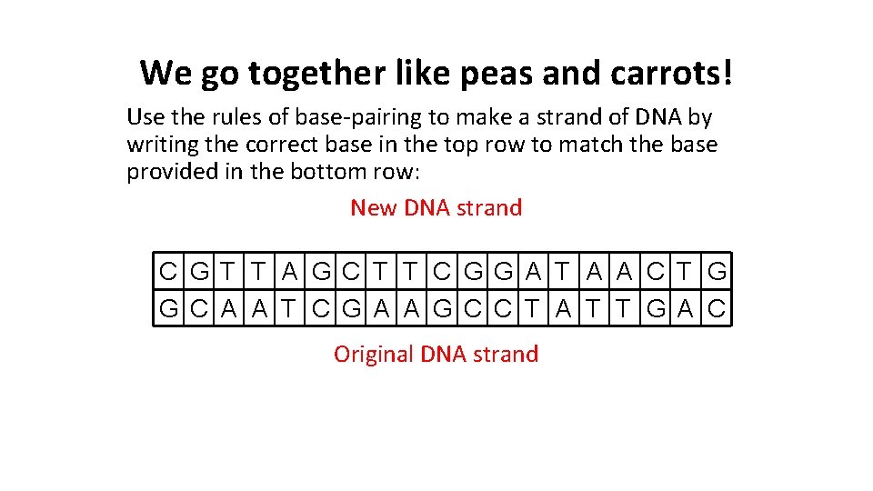 We go together like peas and carrots! Use the rules of base-pairing to make