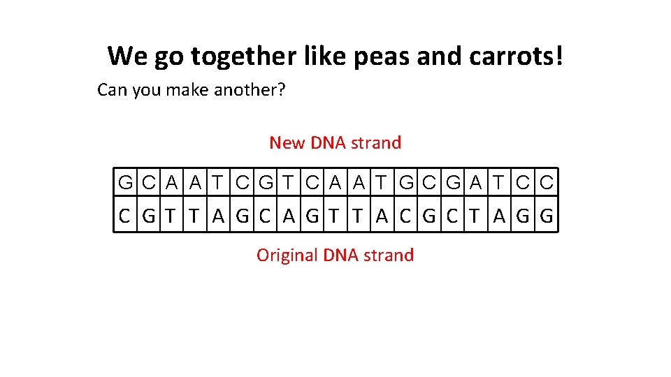 We go together like peas and carrots! Can you make another? New DNA strand