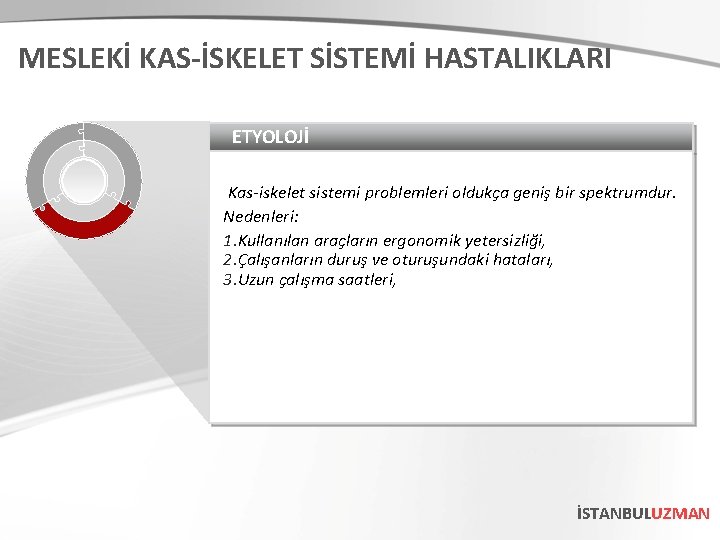 MESLEKİ KAS-İSKELET SİSTEMİ HASTALIKLARI ETYOLOJİ Kas-iskelet sistemi problemleri oldukça geniş bir spektrumdur. Nedenleri: 1.