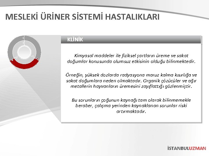 MESLEKİ ÜRİNER SİSTEMİ HASTALIKLARI KLİNİK Kimyasal maddeler ile fiziksel şartların üreme ve sakat doğumlar