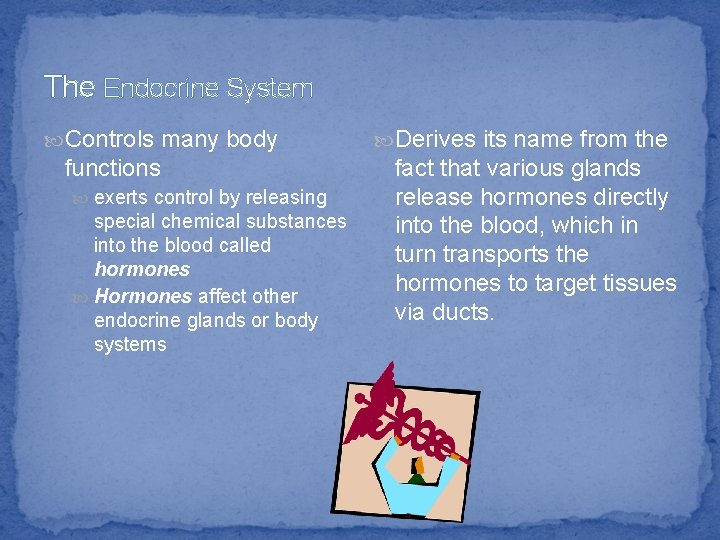 Endocrine Metabolic System Chapter 10 Pathology The Endocrine