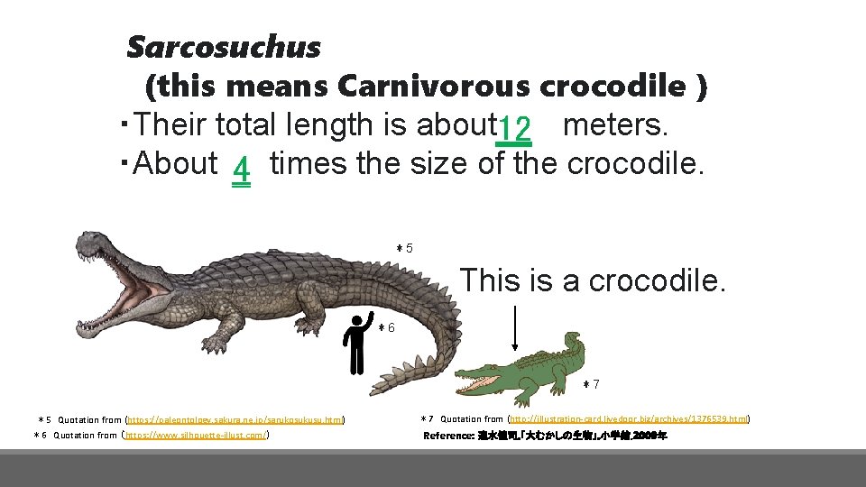 Sarcosuchus (this means Carnivorous crocodile ) ・Their total length is about 12 meters. ・About