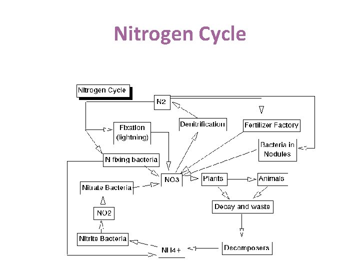 Nitrogen Cycle 