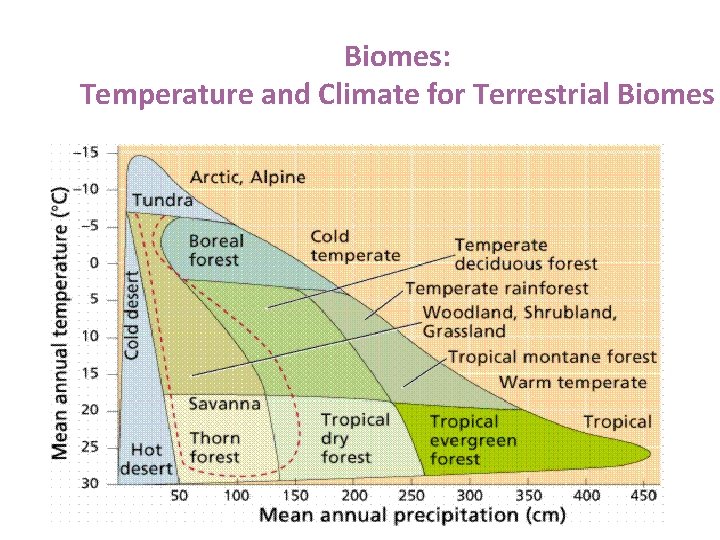 Biomes: Temperature and Climate for Terrestrial Biomes 